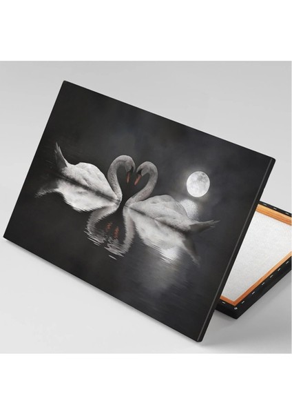 Kuğu Çifti ve Kalp Ay Işığı Alında Aşk Love Zarafet Doğa Manzara Hayvan Kanvas Tablo ART0073 fiyatları