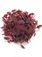 Kırmızı Amaranth Tohumu Geleneksel Şifalı Amaranthus Red Garnet 3