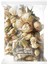 Beyaz Gül Kurusu Çayı Tomurcuk White Rose Gül Kurusu 250 gr 1