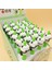 K 24 Adet/grup Kawaii Panda Köpek Avokado Yazmaya Devam Edin Mekanik Kurşun Kalem Sevimli 0.5mm Öğrenci Kalemler Çocuklar Hediye Okul Ofis Malzemeleri (Yurt Dışından) 5