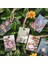 E Journamm 100 Adet/paket Estetik Çiçekler Serisi Mini Malzeme Kitap Scrapbooking Deco Kırtasiye Önemsiz Dergisi Yaratıcı Not (Yurt Dışından) 5