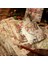 H Shanbu 100 Adet/paket Vintage Alacakaranlık Malzeme Kağıt Hafif Kağıt Retro Kağıtları Deco Scrapbooking Günlük Albümü Dıy Imleri (Yurt Dışından) 5