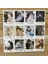 Qiang Jin Jiu 40 Adet/takım Lomo Kartları Erha ve Onun Beyaz Kedi Usta Anime Fotocard Mo Ran Chu Wanning Yer Işareti Sabit Kawaii Mesaj Kartı (Yurt Dışından) 4