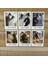 Qiang Jin Jiu 40 Adet/takım Lomo Kartları Erha ve Onun Beyaz Kedi Usta Anime Fotocard Mo Ran Chu Wanning Yer Işareti Sabit Kawaii Mesaj Kartı (Yurt Dışından) 5