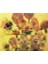 07 60 Adet/takım Sanatçı Van Gogh Notları Yapışkan Notlar Ofis Kawaii Notlar Günlüğü Dıy Yaratıcı Notlar Deco Kırtasiye Scrapbooking Kartları (Yurt Dışından) 1