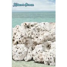 Natures Ocean – Natural Coral Reef Rock – Doğal Resif Kayası – 18,14 kg