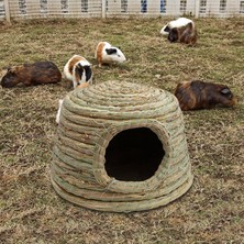 Yeajion El Yapımı Ev Inak Ğı Dayanıklı ve Kararlı Sincaplar Için Çiğ I Orta (Yurt Dışından)