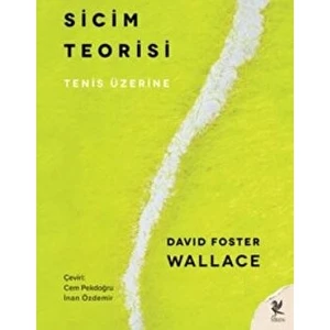 Sicim Teorisi - David Foster Wallace