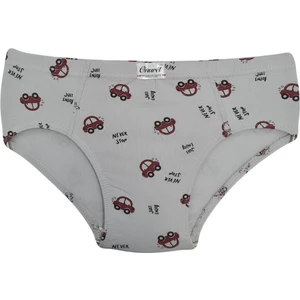 Erkek Çocuk 5'Li Paket Karışık Renk Araba Baskılı Likralı Külot