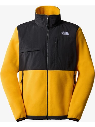 Denali fleece shop the north face