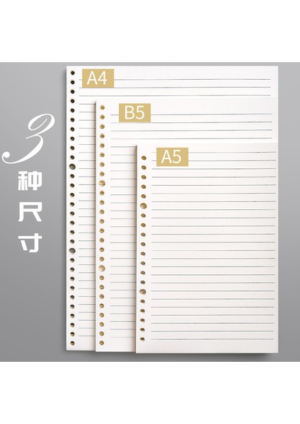 Cornell-Izgara A4 60 Yaprak Gevşek Yaprak Defter Dolum Spiral Ciltleyici 26 Delik Günlük Planlayıcı A4 A5 B5 Izgara Cornell Hattı Iç Çekirdek Kağıt Kırtasiye (Yurt Dışından)