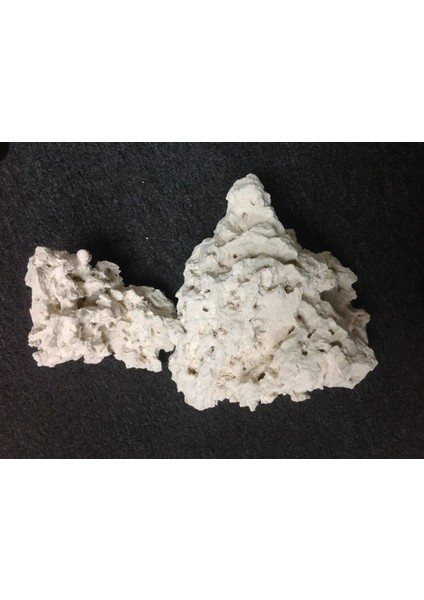 – Natural Coral Reef Rock – Doğal Resif Kayası – 18,14 kg modelleri