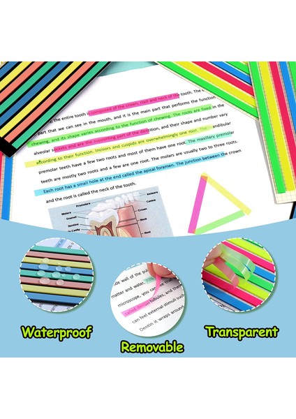 200PCS 1280 Adet Şeffaf Fosforlu Bant, Açıklamalı Kitaplar Için Çıkarılabilir Yapışkan Sekmeler, Makaslı Uzun Şeritler Sayfa Işaretleyiciler Sekmeler, (Yurt Dışından) modelleri