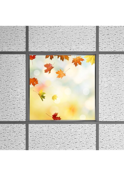 60X60 LED Panel Aydınlatma Armatür Avize Sıva Altı Desenli Tekli 46510081SA