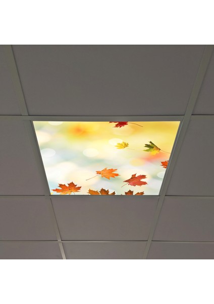 60X60 LED Panel Aydınlatma Armatür Avize Sıva Altı Desenli Tekli 46510081SA