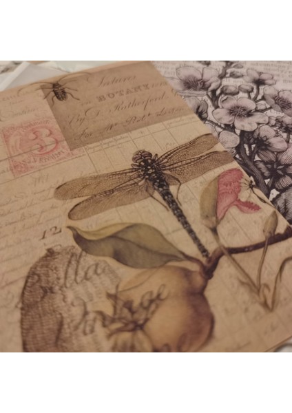 Stil 6 40 Adet Benekli Sayfalar Çiçek Kelebek Karışık Malzeme Kağıt Önemsiz Dergisi Retro Bloknot Notları Scrapbooking Günlük Dergiler Dıy (Yurt Dışından)