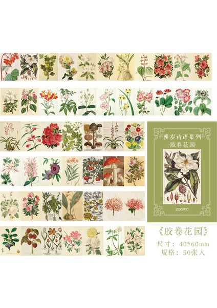 Stil 3 Vintage Ortaçağ Posteri Mini Kitap Dekoratif Scrapbooking Dergiler Dıy Malzeme Kağıt Kartı Yaratıcı Memo Kırtasiye (Yurt Dışından)