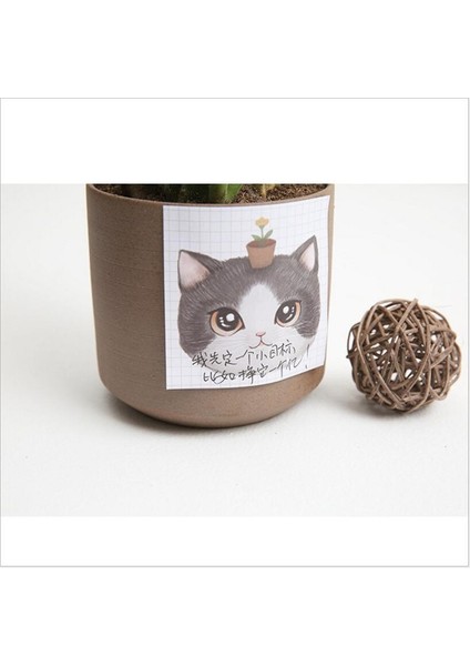 Resim Olarak 1 Adet Sevimli Kedi Yapışkan Not Yaratıcı Kırtasiye Çıkartmalar Scrapbooking N Kez Etiket Mesaj Notları Kitap Ofis Öğrencileri Malzemeleri (Yurt Dışından) fırsatları