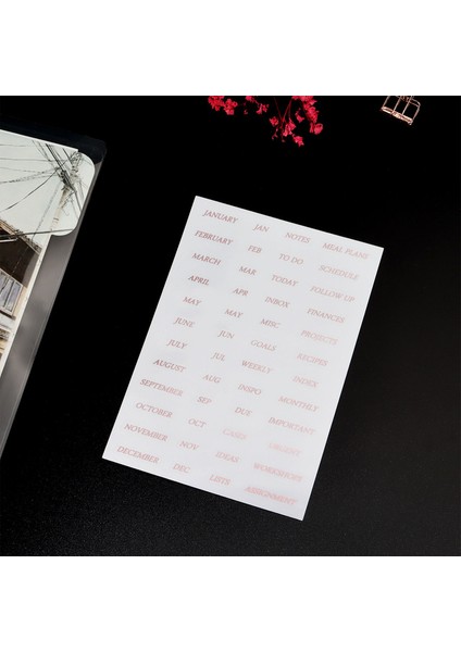 Gül Altın Etiket A6 Sharkbang 6 Adet/12 Adet Pvc Şeffaf A5 Defter Spiral Bağlayıcı Dizin Ayırıcı Sayfa Bölücüler Günlüğü Kitap Etiket Kırtasiye (Yurt Dışından)