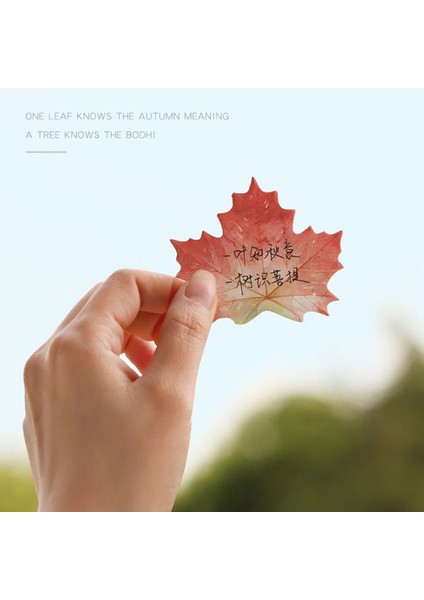 Stil 10 30 Sayfa Kawaii Not Defteri Yer Imleri Yaratıcı Yapraklar Yapışkan Notlar Yayınlandı Planlayıcısı Kırtasiye Okul Malzemeleri Kağıt Çıkartmalar (Yurt Dışından) modelleri