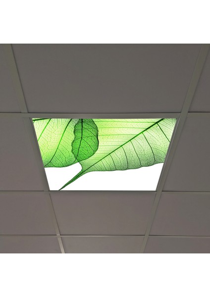 60X60 LED Panel Aydınlatma Armatür Avize Sıva Altı Desenli Tekli 46510099SA