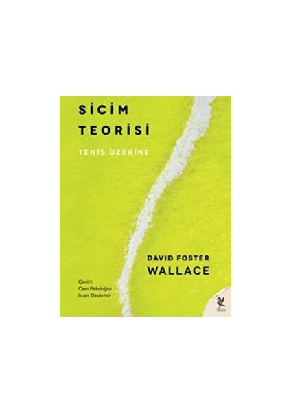 Sicim Teorisi - David Foster Wallace