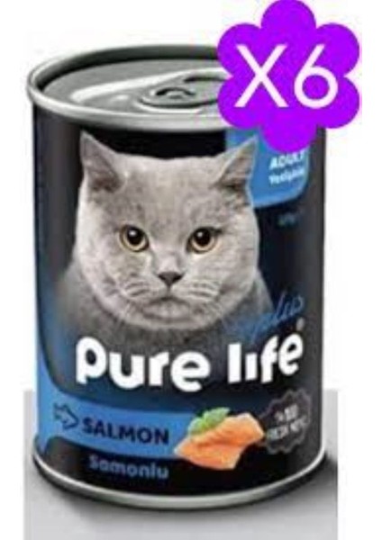 Pure Life Plus Kedi Konserve Somonlu 6 Adet * 400 gr