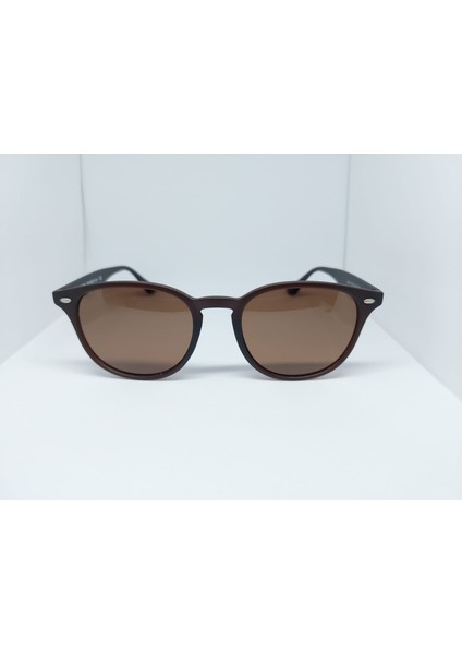 SWING-244-C216-51