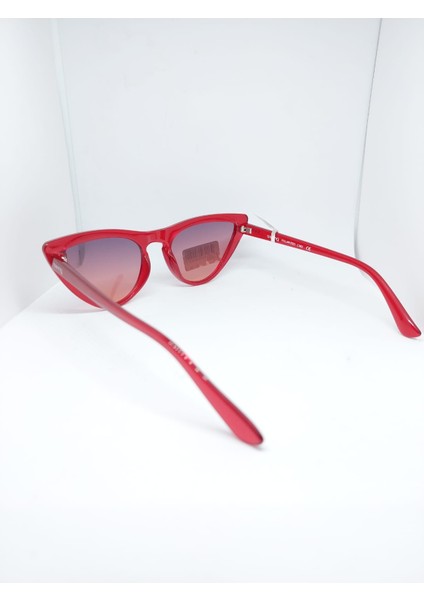 SWING-254-C383-53 modelleri