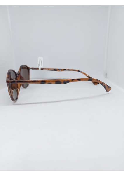 SWING-282-C610-50