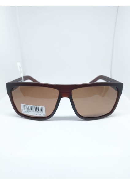 SWING-259-C216-58