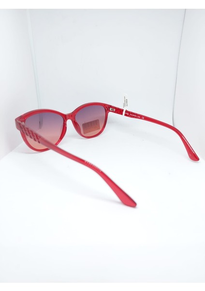SWING-260-C383-55 modelleri