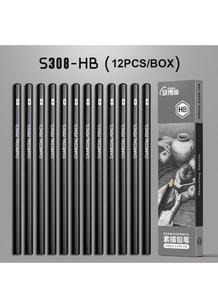 13 12 Adet Profesyonel Kroki ve Çizim Grafit Kömür Kalem HB2H2B4B6B8B14B Acemi Öğrenci Kroki El Boyama Araçları (Yurt Dışından)
