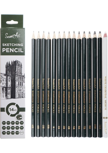 15 Adet Set Seamiart 15 Adet Kalem Seti Profesyonel Çizim Kroki Kalem Beyaz Kömür ile Boyama Sanat Malzemeleri Kırtasiye (Yurt Dışından)