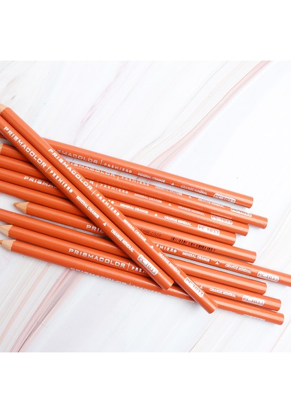 12 Adet PC938 12 Adet Prismacolor Renkli Kalem Siyah Beyaz Ten Renkleri Profesyonel Vurgulamak Eskiz Kalemleri Grafit Sanatçı Çizim Harmanlama (Yurt Dışından)