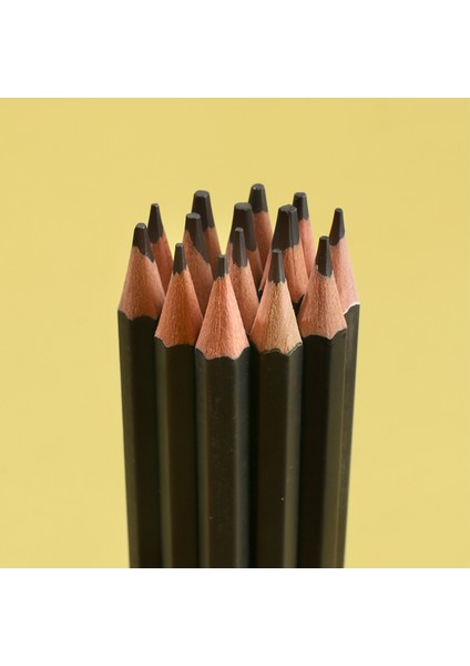 Sarı Brutfuner Yenı 14 Adet Sanat Çizim Grafit Kalemler 14B - 4h Profesyonel Eskiz Kalem Seti Acemi Sanatçı Için Sanatçı Kalemleri (Yurt Dışından)