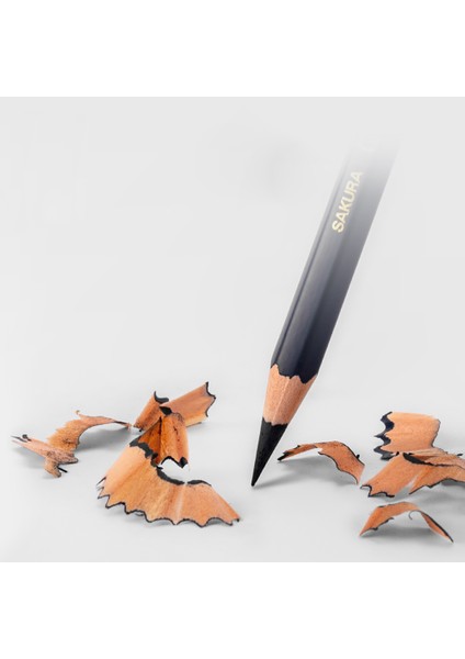 12 Sert Karbon Japonya Sakura Kömür Kalem Kroki Sanat Takım Elbise Yumuşak Orta Sert Karbon Kroki Boyama Kalem Profesyonel Sanat Malzemeleri Kırtasiye (Yurt Dışından) indirimleri