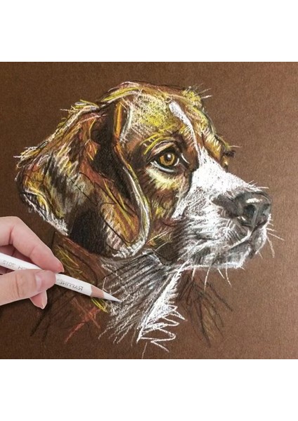 Kalem Seti Profesyonel Kroki Kömür Çizim Seti Aracı 15 Kömür Karışık Renkli Ahşap Beyaz Kalem Fırça Acemi Grafiti Sanat Malzemeleri (Yurt Dışından) fırsatları