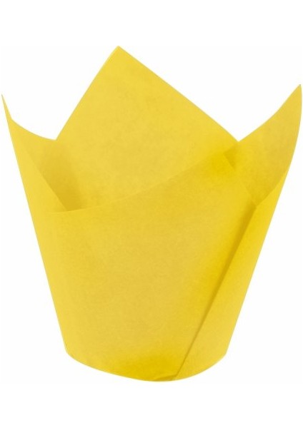 Tulip Sarı 160/50 (200 Adet)