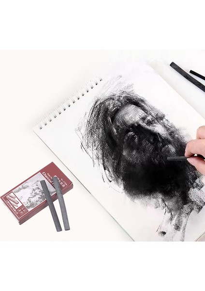 1 Kutu Meslek Kalemler Kroki Çizim Söğüt Kömür Bar Sanatçı Sanat Boya Kalemi Boyama Çizim Malzemeleri 8 Adet/paket (Yurt Dışından)