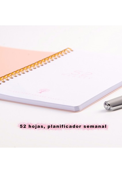 Ingilizce Pembe A5 2023 A5 Ispanyolca Gündem Dizüstü Bullet Günlük Haftalık Dergi Programı Ingilizce Planlayıcısı Organizatör Okul Ofis Kırtasiye (Yurt Dışından)
