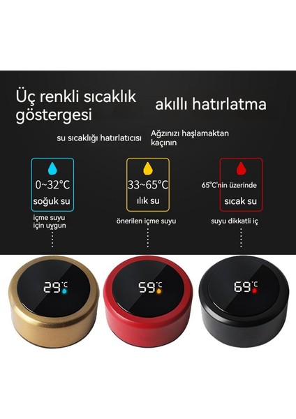Paslanmaz Çelik Akıllı Sıcaklık Göstergesi Kabı (Yurt Dışından)