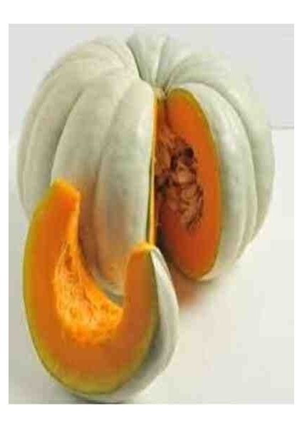 1 Adet Dev Kestane Bal Kabağı Tohumu