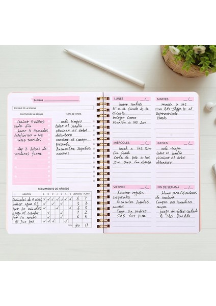 Pembe 2022 A5 Gündem Planlayıcısı Dizüstü Günlüğü Haftalık Planlayıcısı Hedef Alışkanlık Programları Organizatör Dizüstü Öğrenci Okul Ofis Not Defteri (Yurt Dışından) fiyatları