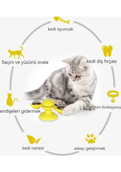 Pikap Kedi Tırmalama Makinesi Kedi Fırçası Evcil Hayvan Oyuncak (Yurt Dışından) fiyatları