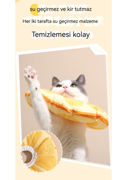 Kedi ve Köpek Lisa Beyaz Halkalı Yalama Önleyici ve Isırma Yaka Başlığı Suya Dayanıklı (Yurt Dışından)