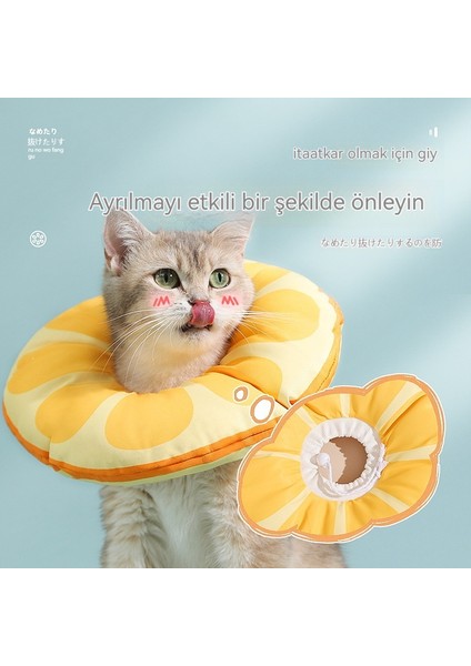 Kedi ve Köpek Lisa Beyaz Halkalı Yalama Önleyici ve Isırma Yaka Başlığı Suya Dayanıklı (Yurt Dışından) indirimleri