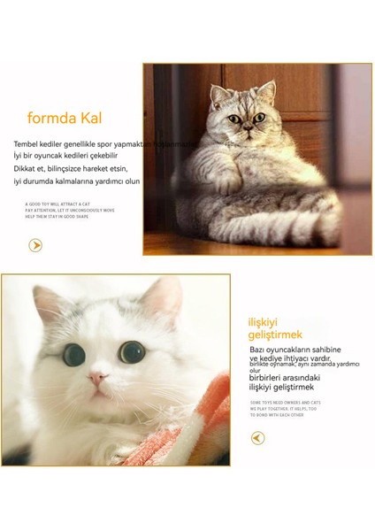 Gökkuşağı S-Kavisli Kedi Tünel Oyuncağı (Yurt Dışından) modelleri
