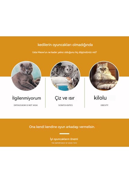 Gökkuşağı S-Kavisli Kedi Tünel Oyuncağı (Yurt Dışından) fırsatları