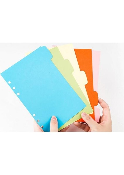 Dizin Sayfası Timsah Desenli Bütçe Planlayıcısı Bütçe Zarflı Nakit Zarf Bağlayıcı A6 Bağlayıcı Cepler Bütçeleme Için Nakit Zarf Cüzdanı (Yurt Dışından)